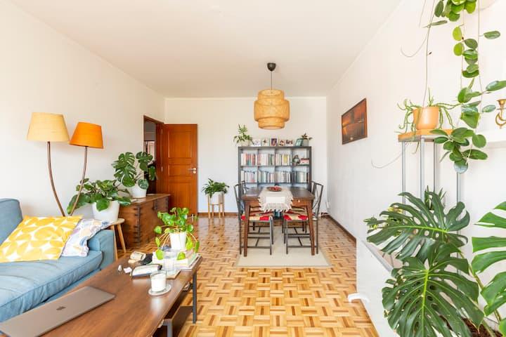 Apartamento T3 no centro de Faro!