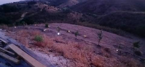 TERRENO RÚSTICO COM 17.480 m2 - ÁGUA E SISTEMA SOLAR - ESTRUTURA AMOVÍVEL - PRÓXIMO AO MARROQUIL - AZINHAL CASTRO MARIM - ALGARVE