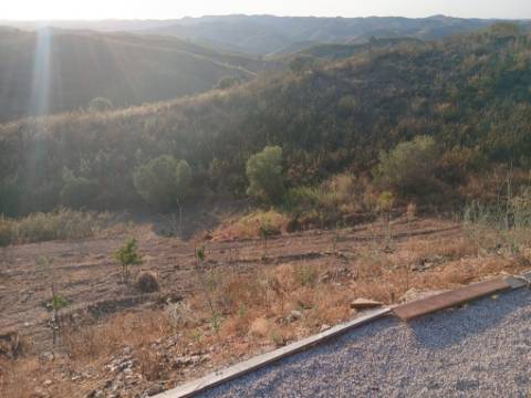TERRENO RÚSTICO COM 17.480 m2 - ÁGUA E SISTEMA SOLAR - ESTRUTURA AMOVÍVEL - PRÓXIMO AO MARROQUIL - AZINHAL CASTRO MARIM - ALGARVE