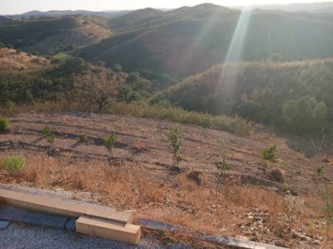 TERRENO RÚSTICO COM 17.480 m2 - ÁGUA E SISTEMA SOLAR - ESTRUTURA AMOVÍVEL - PRÓXIMO AO MARROQUIL - AZINHAL CASTRO MARIM - ALGARVE