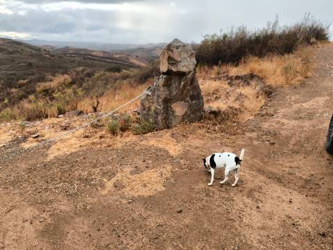 TERRENO RÚSTICO COM 17.480 m2 - ÁGUA E SISTEMA SOLAR - ESTRUTURA AMOVÍVEL - PRÓXIMO AO MARROQUIL - AZINHAL CASTRO MARIM - ALGARVE