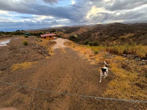 TERRENO RÚSTICO COM 17.480 m2 - ÁGUA E SISTEMA SOLAR - ESTRUTURA AMOVÍVEL - PRÓXIMO AO MARROQUIL - AZINHAL CASTRO MARIM - ALGARVE