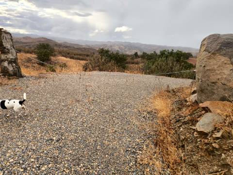 TERRENO RÚSTICO COM 17.480 m2 - ÁGUA E SISTEMA SOLAR - ESTRUTURA AMOVÍVEL - PRÓXIMO AO MARROQUIL - AZINHAL CASTRO MARIM - ALGARVE