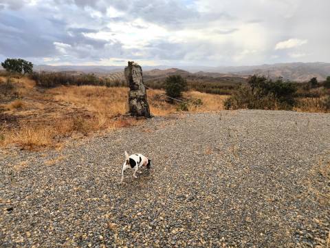 TERRENO RÚSTICO COM 17.480 m2 - ÁGUA E SISTEMA SOLAR - ESTRUTURA AMOVÍVEL - PRÓXIMO AO MARROQUIL - AZINHAL CASTRO MARIM - ALGARVE