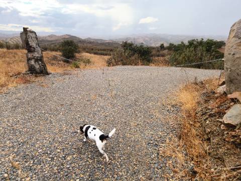 TERRENO RÚSTICO COM 17.480 m2 - ÁGUA E SISTEMA SOLAR - ESTRUTURA AMOVÍVEL - PRÓXIMO AO MARROQUIL - AZINHAL CASTRO MARIM - ALGARVE