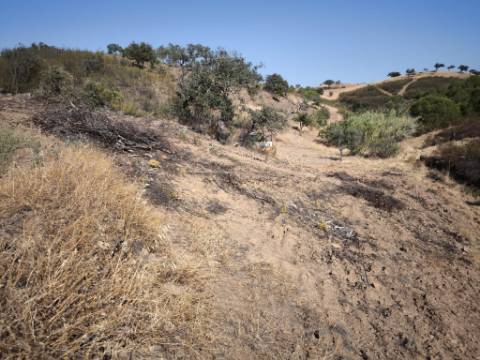 TERRENO RÚSTICO COM 2.360 M2 PROXIMO A ALDEIA DA CORTE DO GAGO - CASTRO MARIM - ALGARVE