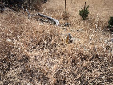 TERRENO COM 4.000 M2 - PARA CONSTRUÇÃO - NA ALDEIA DE TESOURO - EM ALCOUTIM - ALGARVE