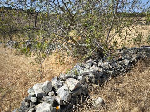 TERRENO COM 4.000 M2 - PARA CONSTRUÇÃO - NA ALDEIA DE TESOURO - EM ALCOUTIM - ALGARVE