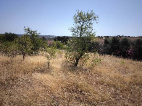 TERRENO COM 4.000 M2 - PARA CONSTRUÇÃO - NA ALDEIA DE TESOURO - EM ALCOUTIM - ALGARVE