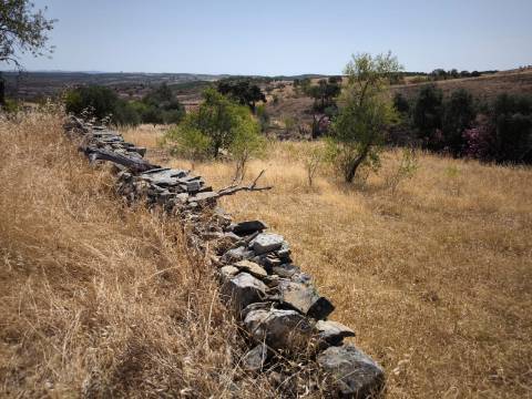 TERRENO COM 4.000 M2 - PARA CONSTRUÇÃO - NA ALDEIA DE TESOURO - EM ALCOUTIM - ALGARVE