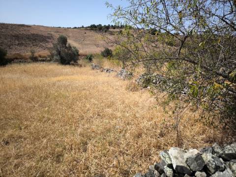 TERRENO COM 4.000 M2 - PARA CONSTRUÇÃO - NA ALDEIA DE TESOURO - EM ALCOUTIM - ALGARVE