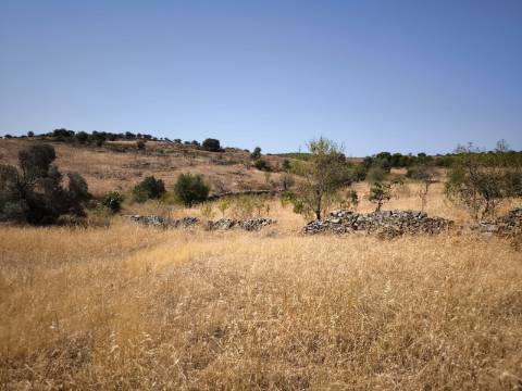 TERRENO COM 4.000 M2 - PARA CONSTRUÇÃO - NA ALDEIA DE TESOURO - EM ALCOUTIM - ALGARVE