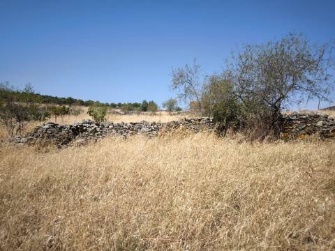 TERRENO COM 4.000 M2 - PARA CONSTRUÇÃO - NA ALDEIA DE TESOURO - EM ALCOUTIM - ALGARVE