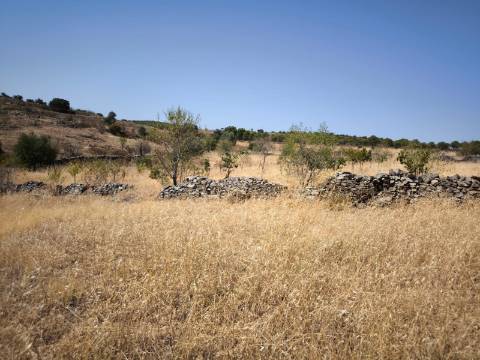 TERRENO COM 4.000 M2 - PARA CONSTRUÇÃO - NA ALDEIA DE TESOURO - EM ALCOUTIM - ALGARVE