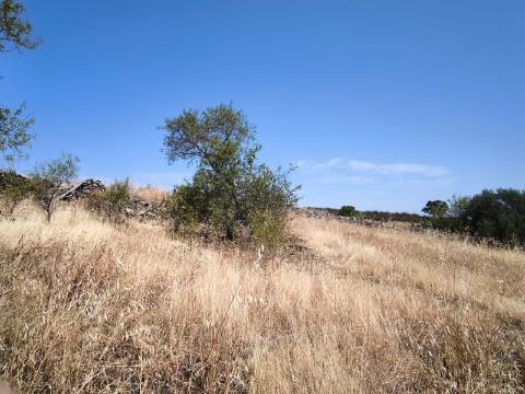 TERRENO COM 4.000 M2 - PARA CONSTRUÇÃO - NA ALDEIA DE TESOURO - EM ALCOUTIM - ALGARVE