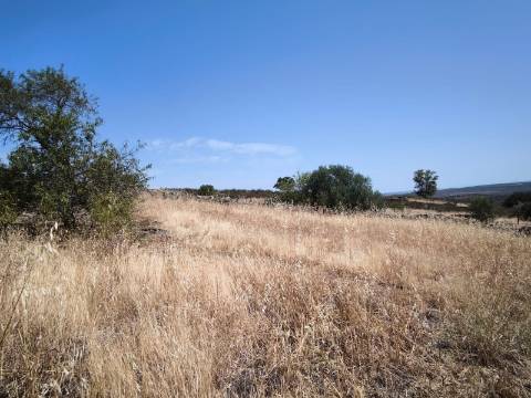 TERRENO COM 4.000 M2 - PARA CONSTRUÇÃO - NA ALDEIA DE TESOURO - EM ALCOUTIM - ALGARVE