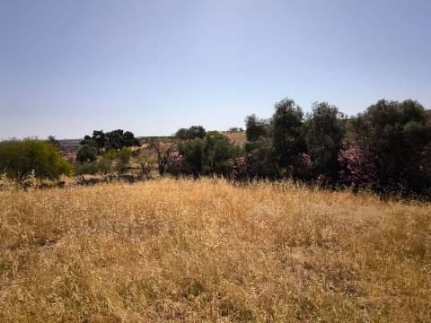 TERRENO COM 4.000 M2 - PARA CONSTRUÇÃO - NA ALDEIA DE TESOURO - EM ALCOUTIM - ALGARVE