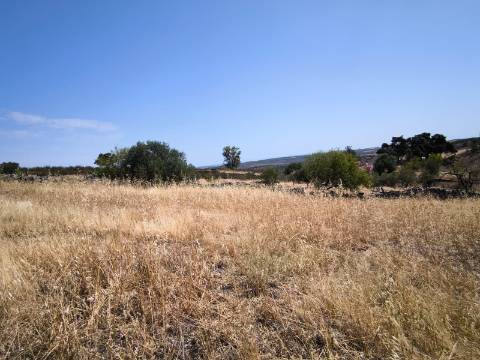 TERRENO COM 4.000 M2 - PARA CONSTRUÇÃO - NA ALDEIA DE TESOURO - EM ALCOUTIM - ALGARVE
