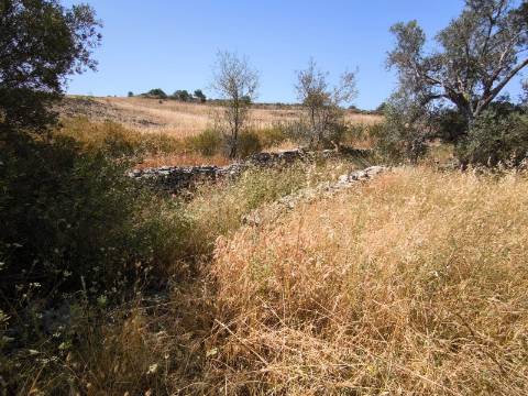 TERRENO COM 4.000 M2 - PARA CONSTRUÇÃO - NA ALDEIA DE TESOURO - EM ALCOUTIM - ALGARVE
