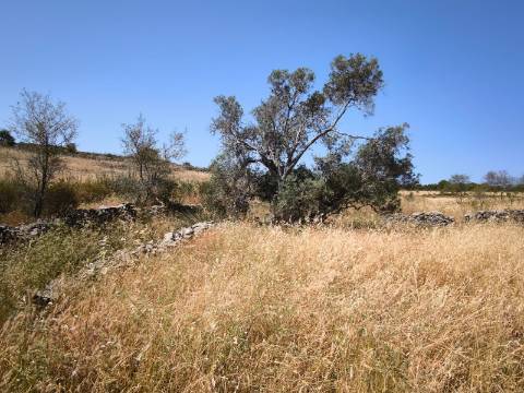 TERRENO COM 4.000 M2 - PARA CONSTRUÇÃO - NA ALDEIA DE TESOURO - EM ALCOUTIM - ALGARVE