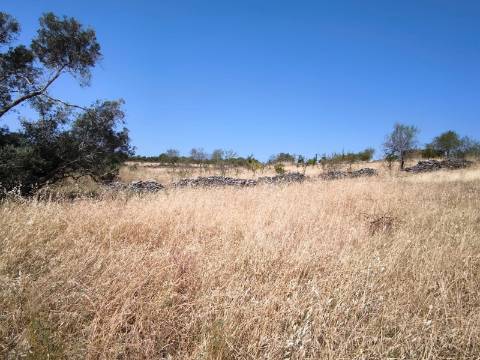 TERRENO COM 4.000 M2 - PARA CONSTRUÇÃO - NA ALDEIA DE TESOURO - EM ALCOUTIM - ALGARVE