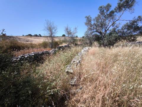 TERRENO COM 4.000 M2 - PARA CONSTRUÇÃO - NA ALDEIA DE TESOURO - EM ALCOUTIM - ALGARVE
