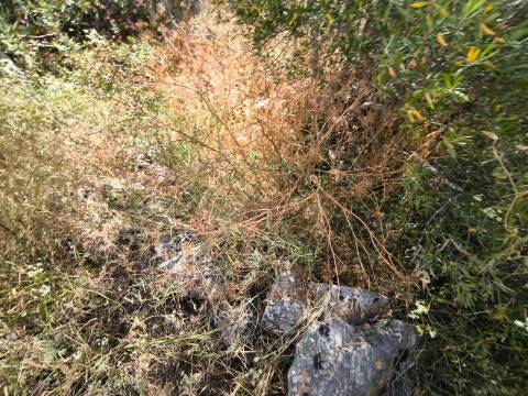 TERRENO COM 4.000 M2 - PARA CONSTRUÇÃO - NA ALDEIA DE TESOURO - EM ALCOUTIM - ALGARVE