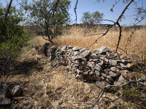 TERRENO COM 4.000 M2 - PARA CONSTRUÇÃO - NA ALDEIA DE TESOURO - EM ALCOUTIM - ALGARVE