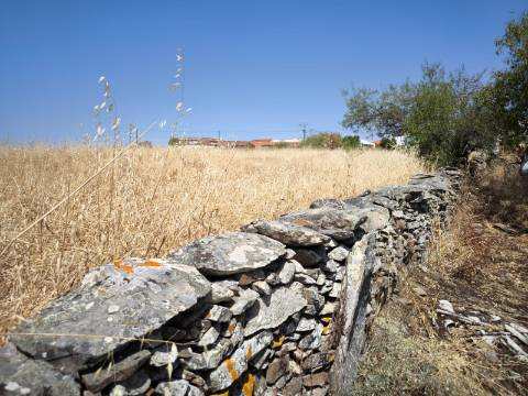 TERRENO COM 4.000 M2 - PARA CONSTRUÇÃO - NA ALDEIA DE TESOURO - EM ALCOUTIM - ALGARVE