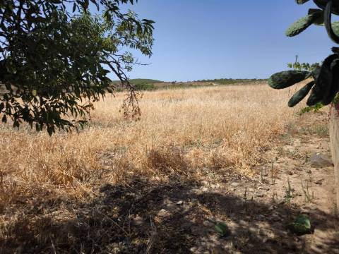 TERRENO COM 4.000 M2 - PARA CONSTRUÇÃO - NA ALDEIA DE TESOURO - EM ALCOUTIM - ALGARVE