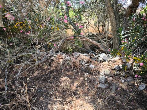 TERRENO COM 4.000 M2 - PARA CONSTRUÇÃO - NA ALDEIA DE TESOURO - EM ALCOUTIM - ALGARVE