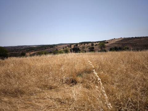 TERRENO COM 4.000 M2 - PARA CONSTRUÇÃO - NA ALDEIA DE TESOURO - EM ALCOUTIM - ALGARVE