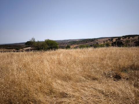 TERRENO COM 4.000 M2 - PARA CONSTRUÇÃO - NA ALDEIA DE TESOURO - EM ALCOUTIM - ALGARVE