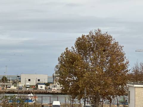 Apartamento T3 de Luxo na Baixa de Olhão - 189 m² de Elegância e Conforto