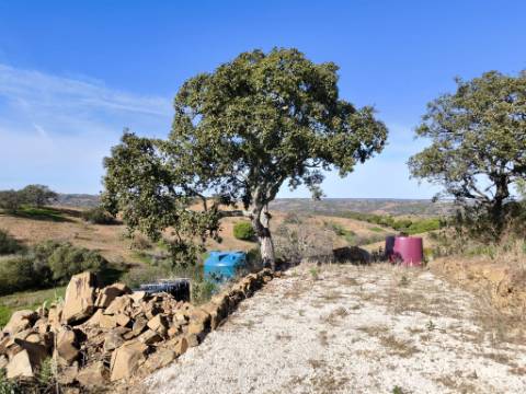 TERRENO COM 13480 M² - COM POÇO - TERRAÇO - DEPÓSITO DE ÁGUA - PERO VAZ - AZINHAL - CASTRO MARIM - ALGARVE