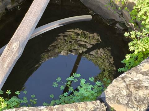 TERRENO COM 13480 M² - COM POÇO - TERRAÇO - DEPÓSITO DE ÁGUA - PERO VAZ - AZINHAL - CASTRO MARIM - ALGARVE