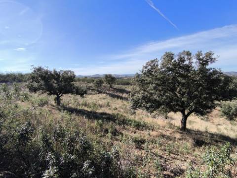 TERRENO COM 13480 M² - COM POÇO - TERRAÇO - DEPÓSITO DE ÁGUA - PERO VAZ - AZINHAL - CASTRO MARIM - ALGARVE