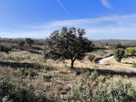 TERRENO COM 13480 M² - COM POÇO - TERRAÇO - DEPÓSITO DE ÁGUA - PERO VAZ - AZINHAL - CASTRO MARIM - ALGARVE