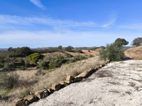 TERRENO COM 13480 M² - COM POÇO - TERRAÇO - DEPÓSITO DE ÁGUA - PERO VAZ - AZINHAL - CASTRO MARIM - ALGARVE