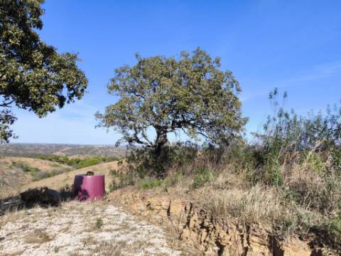 TERRENO COM 13480 M² - COM POÇO - TERRAÇO - DEPÓSITO DE ÁGUA - PERO VAZ - AZINHAL - CASTRO MARIM - ALGARVE