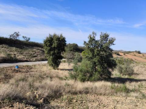 TERRENO COM 13480 M² - COM POÇO - TERRAÇO - DEPÓSITO DE ÁGUA - PERO VAZ - AZINHAL - CASTRO MARIM - ALGARVE