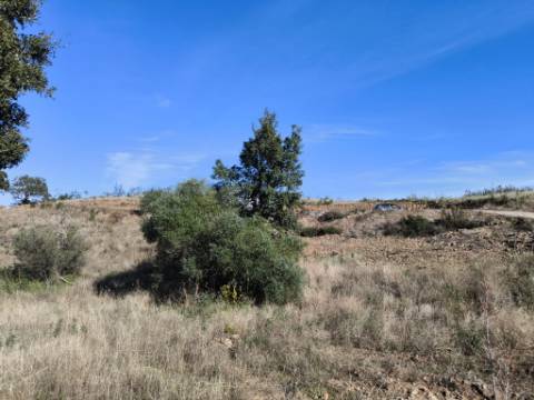 TERRENO COM 13480 M² - COM POÇO - TERRAÇO - DEPÓSITO DE ÁGUA - PERO VAZ - AZINHAL - CASTRO MARIM - ALGARVE