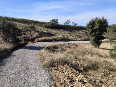 TERRENO COM 13480 M² - COM POÇO - TERRAÇO - DEPÓSITO DE ÁGUA - PERO VAZ - AZINHAL - CASTRO MARIM - ALGARVE