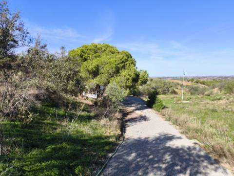 TERRENO COM 13480 M² - COM POÇO - TERRAÇO - DEPÓSITO DE ÁGUA - PERO VAZ - AZINHAL - CASTRO MARIM - ALGARVE