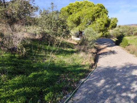 TERRENO COM 13480 M² - COM POÇO - TERRAÇO - DEPÓSITO DE ÁGUA - PERO VAZ - AZINHAL - CASTRO MARIM - ALGARVE