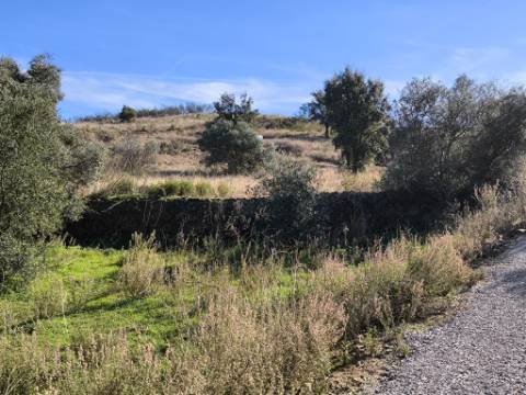 TERRENO COM 13480 M² - COM POÇO - TERRAÇO - DEPÓSITO DE ÁGUA - PERO VAZ - AZINHAL - CASTRO MARIM - ALGARVE