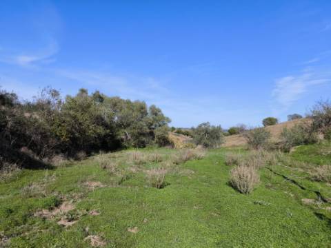 TERRENO COM 13480 M² - COM POÇO - TERRAÇO - DEPÓSITO DE ÁGUA - PERO VAZ - AZINHAL - CASTRO MARIM - ALGARVE