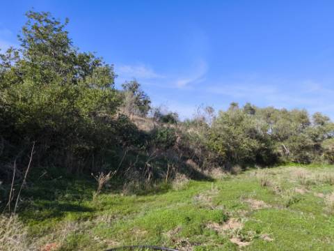 TERRENO COM 13480 M² - COM POÇO - TERRAÇO - DEPÓSITO DE ÁGUA - PERO VAZ - AZINHAL - CASTRO MARIM - ALGARVE