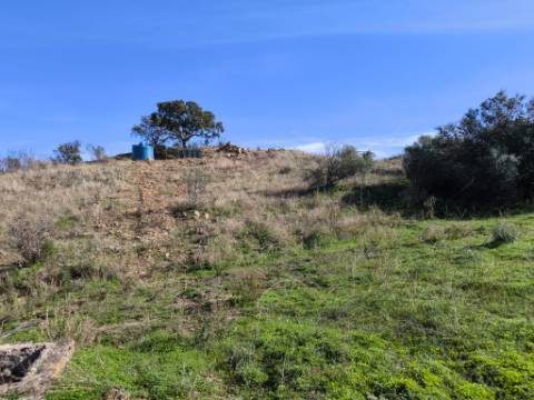 TERRENO COM 13480 M² - COM POÇO - TERRAÇO - DEPÓSITO DE ÁGUA - PERO VAZ - AZINHAL - CASTRO MARIM - ALGARVE