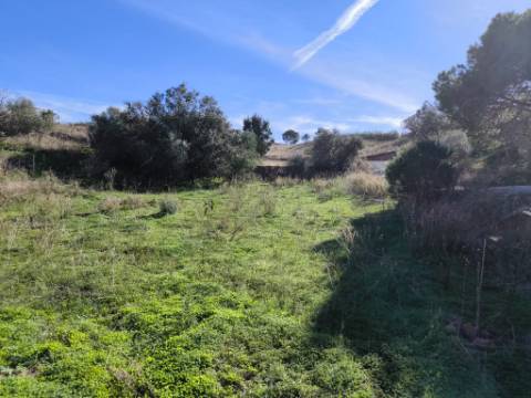 TERRENO COM 13480 M² - COM POÇO - TERRAÇO - DEPÓSITO DE ÁGUA - PERO VAZ - AZINHAL - CASTRO MARIM - ALGARVE